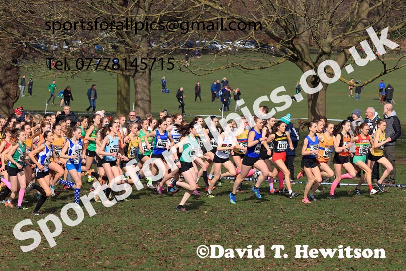 Womens Under-17s, 2024 CAU Inter Counties Cross Country Champs., Wollaton Park, Nottingham. Photo: David T. Hewitson/Sports for All Pics